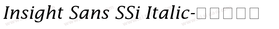 Insight Sans SSi Italic字体转换